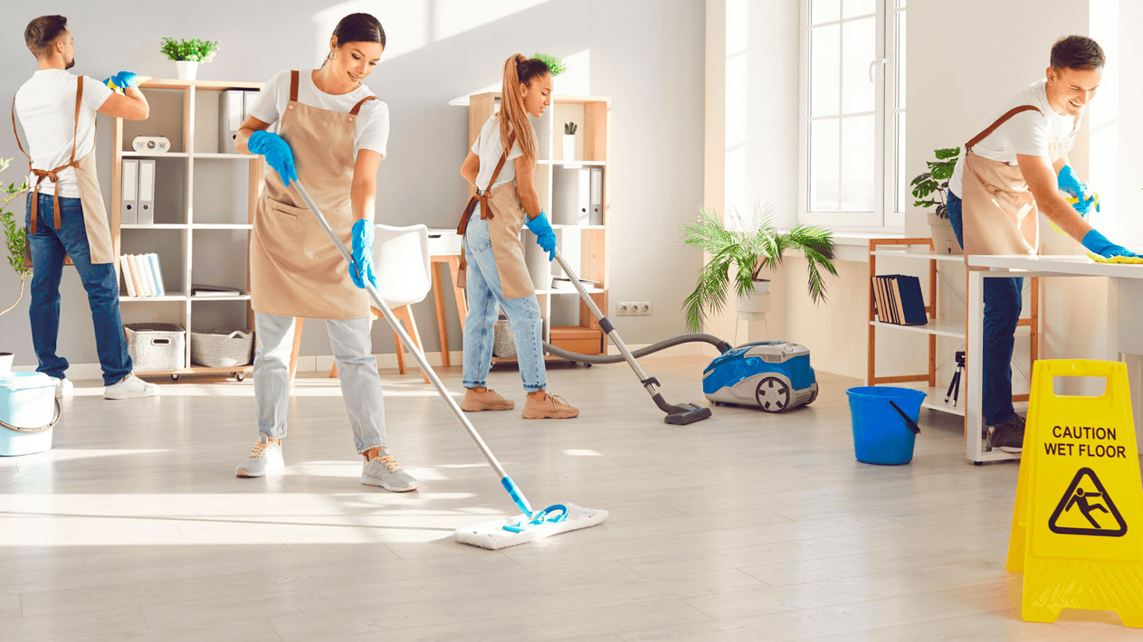Professional housekeeping services